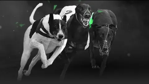 霍姆格倫與基迪昔日商戰情谊犹存